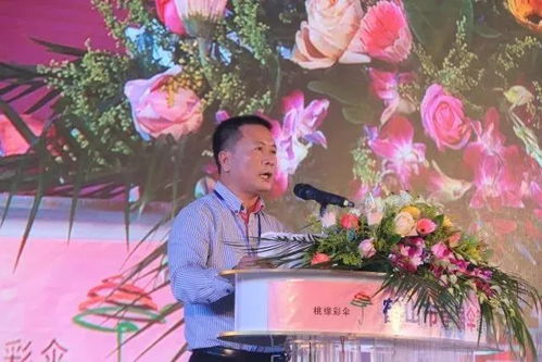 鹤山市首届伞篷节盛大开幕 日用杂品绽放创意与文化光彩